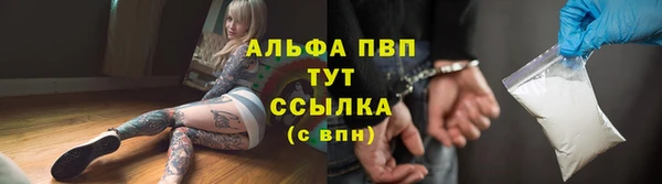 стафф Покачи